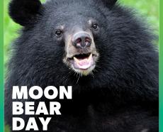 #MoonBearDay