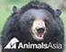 Facebook Animals Asia