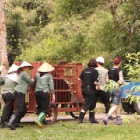 Ten days we’ll never forget – two bears rescued, 68 moved and now space for 40 more