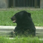 Bridger keeps the pool party all to himself