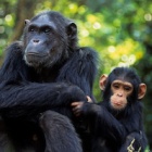 Exhibition brings emotional lives of animals to zoos across China, fostering respect and empathy for all species