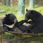 First photos as rescued Dung and James go outside