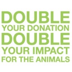 Donations to be doubled as Animals Asia asks for help