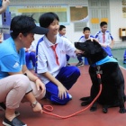 Chinese high schools to offer official animal welfare module for the first time ever