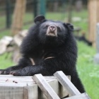 #Moonbearmonday: Individuality is the spice of life