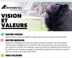 Vision et valeurs