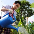 Back to school outdoor learning about herbal alternatives to bear bile