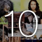 Ten steps that saw bear bile farming go from dark secret to international outrage