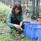 Meet the Vietnamese heroes preparing to welcome 1,000 rescued bears