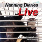 Nanning Diaries Live: The Vet Team Arrive