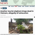 Vietnam told - take a lead and retire your elephants