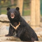 #Moonbearmonday: crashing the pool party