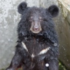 Confident cub Smudge’s bright personality