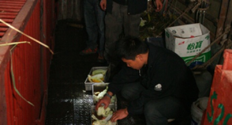 The team prepare meals for the bears.