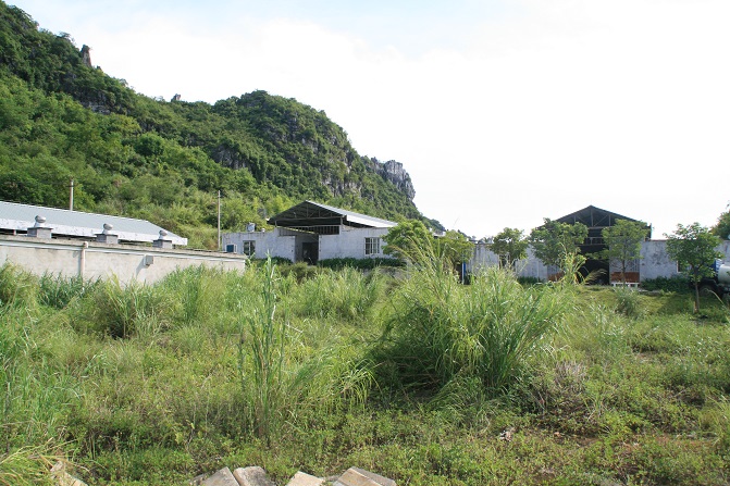 Nanning farm