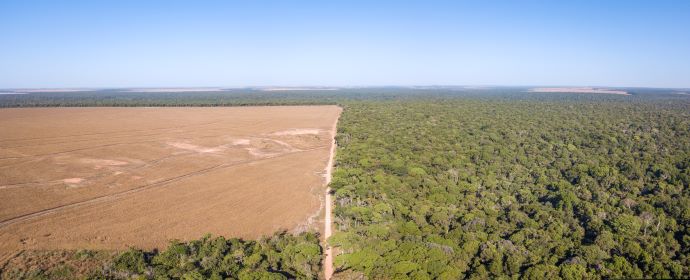 dry arid landscape