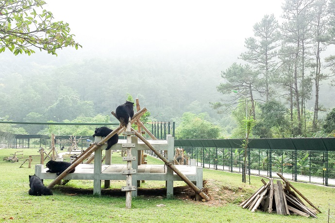 VBRC_RescuedBears_Enclosure