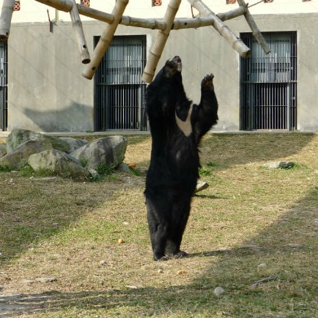 stretching up to get the food is vital exercise