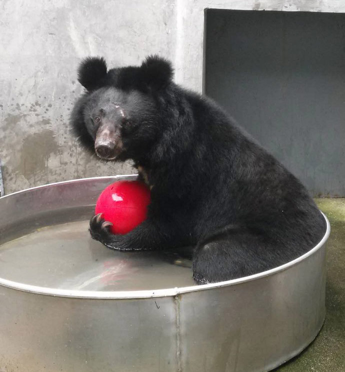 Enrichment at Nanning