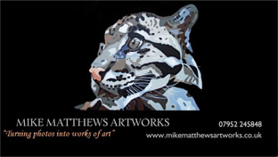 Mike Matthews logo