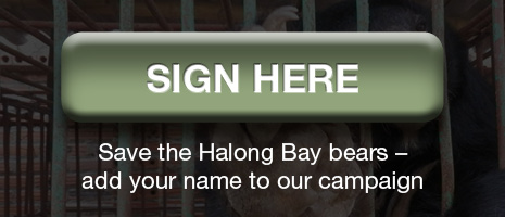 halong signup