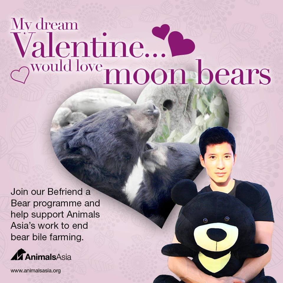 My dream valentine would love moon bears