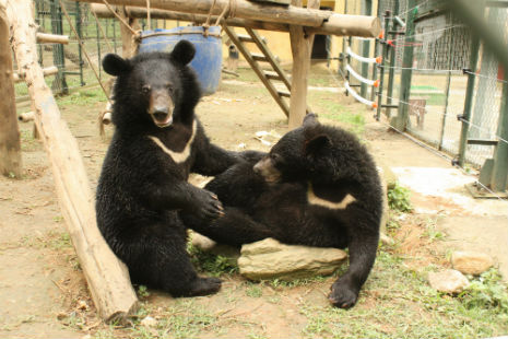 ricky and joey playing when they were younger