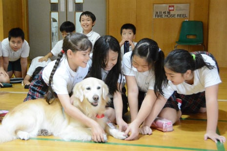 kids enjoy their professor paws experience