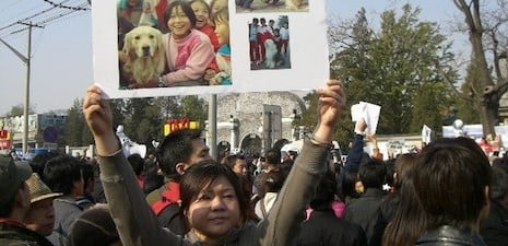 Animal protester