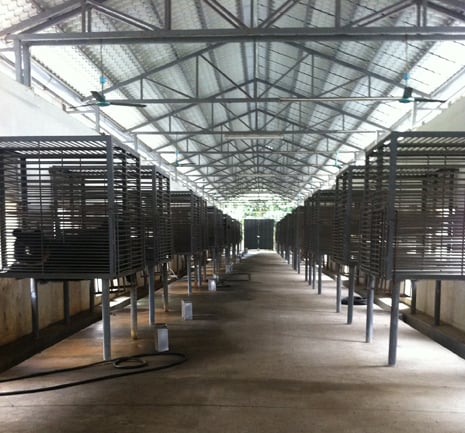 Nanning Bear Farm