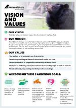 vision mission values poster