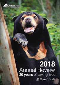 2018 Annual Review