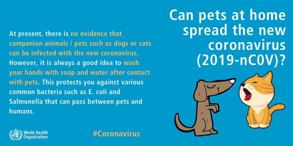 World Health Organisation guidance on coronavirus