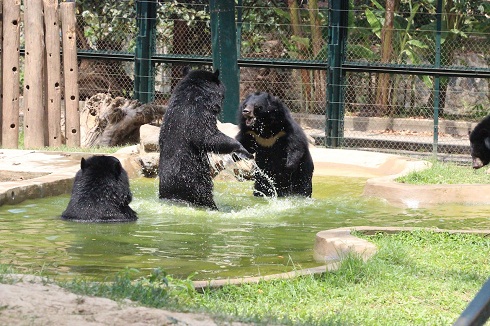 pool time