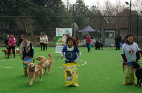 volunteers enjoy a team building activity