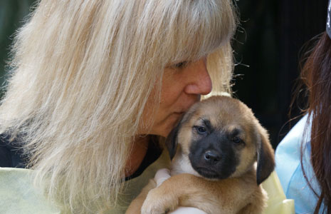 Jill with puppy