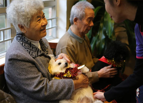 Lady with dog